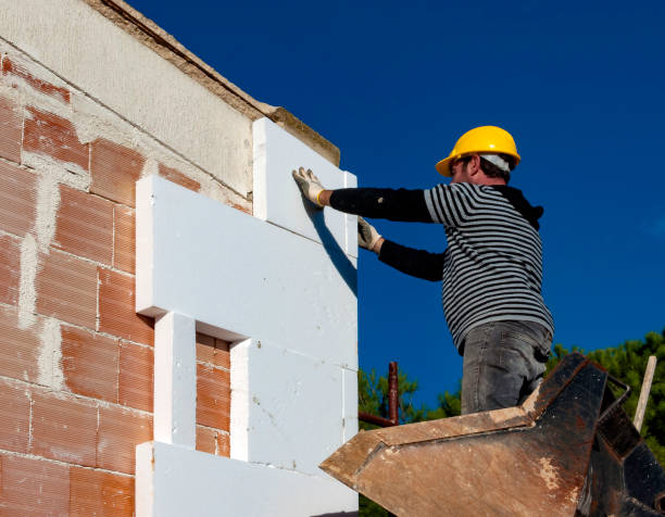 Best Wall Insulation Contractor  in Allardt, TN