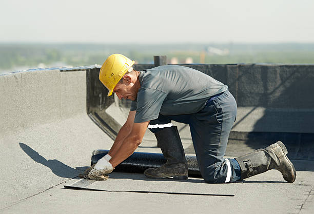 Best Soundproof Insulation Installation  in Allardt, TN