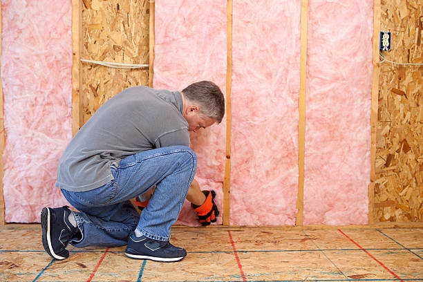 Best Insulation Repair Services  in Allardt, TN